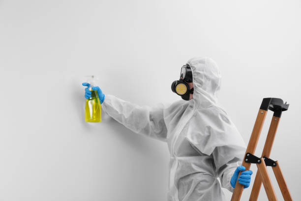 West Jordan, UT Mold Removal & Remediation Company